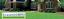 Greenscapes Lawn Care
