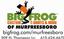 Big Frog Custom T-Shirts and More of Murfreesboro
