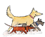Provided by Natural Pet Botanicals, Freeburg 