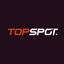 TopSpot SEM | Online Marketing Services