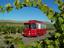 Provided by Fruit of the Vine Tours, Benton City 