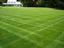 MERLOS LAWN CARE