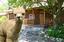 Provided by Turkey Creek Alpacas Outfitter Shop, Milford 