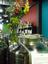 Green Gate Olive Oils