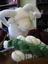 Provided by 365 Days on a Farm - Yarn Shoppe and Boutique, Eldridge 