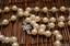 Provided by Maureen Daniels~Independent Consultant for bamboopink, Belle Mead 