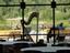Provided by Harpist Elizabeth Alpert, Anchorage 