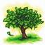 Accounting & Management Resources