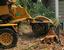 Provided by Premiere Tree Services of Montgomery, Montgomery 