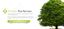 Premiere Tree Services of Montgomery