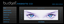 Provided by Budget Website company, Washington 