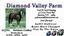 Provided by Diamond Valley Farm, Spencer 
