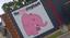 The Pink Elephant