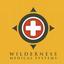Provided by Wilderness Medical Systems, LLC, Absarokee 