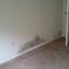 Provided by D-M Mold Testing & Inspection, Madera 