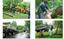 JOSE'S TREE SERVICE