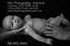 Ailor Photography New York