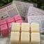 Blissful Scents Candle Company