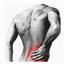 Provided by Pray Chiropractic, Ringgold 