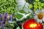 Dwayne Hinckley: doTerra Essential Oils