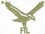 Falcons International