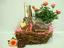 Provided by Willow Gift Baskets, Eugene 