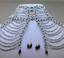 Designs by Gena