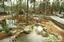 Provided by Sycamore Lodge Resort, Jackson Springs 