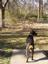 Provided by LovePuppy2 Pet Sitting Services, Dallas 