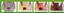 footsoak-1.jpg 