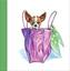 Provided by Small Dog Inn, Novato 