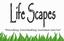 Lifescapes