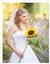 A Southern Rose Images
