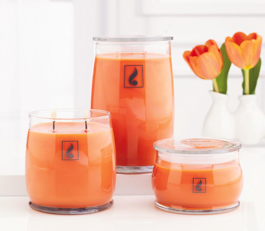 Pictures for GOLD CANYON CANDLES in Plainfield, IL 60586