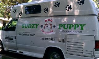 sudzy puppy sudzy puppy lincroft nj 07738 732 962 3993 sudzy puppy sudzy puppy lincroft nj 07738 732 962 3993