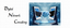 Digital Network Consulting