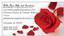 Bella Rose Gifts and Creations