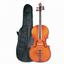 Provided by Southwest Stringed Instruments Inc, Tucson 