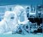 Provided by WeRecoverData.com Data Recovery Labs, San Jose 