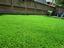 Chesapeake Bay Synthetic Landscapes, LLC