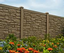 image for the product advertised
