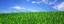 RG Lawn & Landscape Services