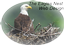 Provided by The Eagles Nest Web Design, Swanzey 