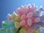 Provided by Candy of Cotton LLC, Summerville 