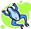 Blue Frogs Jump