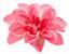 image for the product advertised