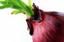Provided by Red Onion Spice & Tea Company LLC, Juneau 