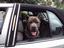 Provided by BIG BEAR CANE CORSO, Willingboro 