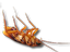 image for the product advertised