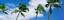 Singles travel Service